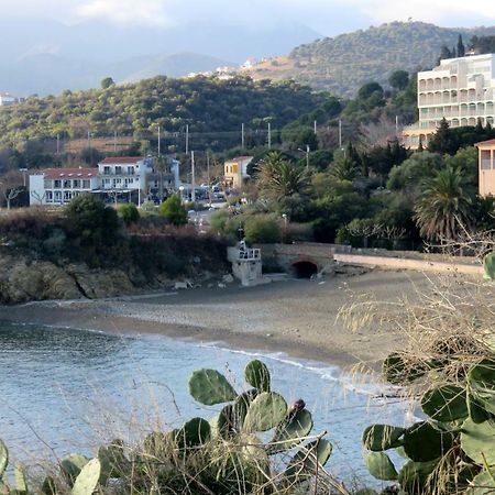 Appartamento Les Pieds Dans L'Eau Banyuls-sur-Mer Esterno foto