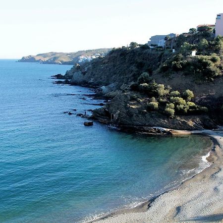 Appartamento Les Pieds Dans L'Eau Banyuls-sur-Mer Esterno foto