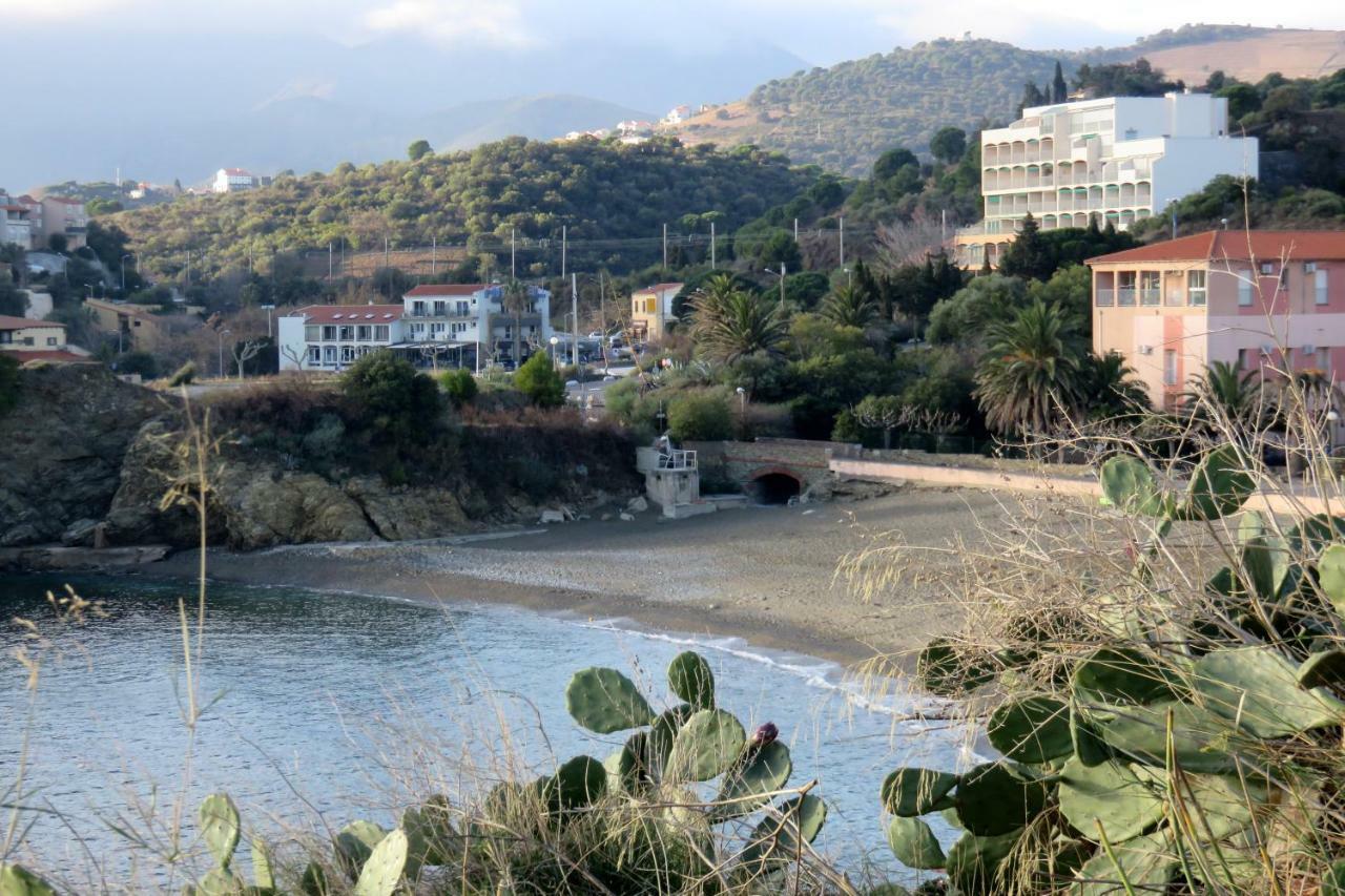 Appartamento Les Pieds Dans L'Eau Banyuls-sur-Mer Esterno foto