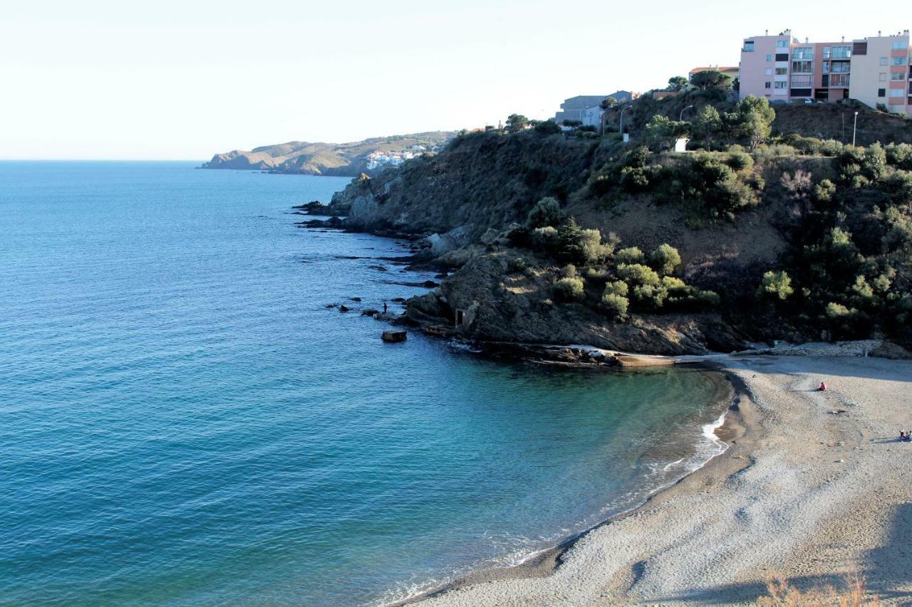 Appartamento Les Pieds Dans L'Eau Banyuls-sur-Mer Esterno foto